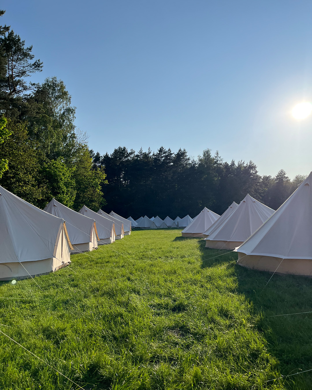 Namioty glampingowe Księżycowe Pole na polanie