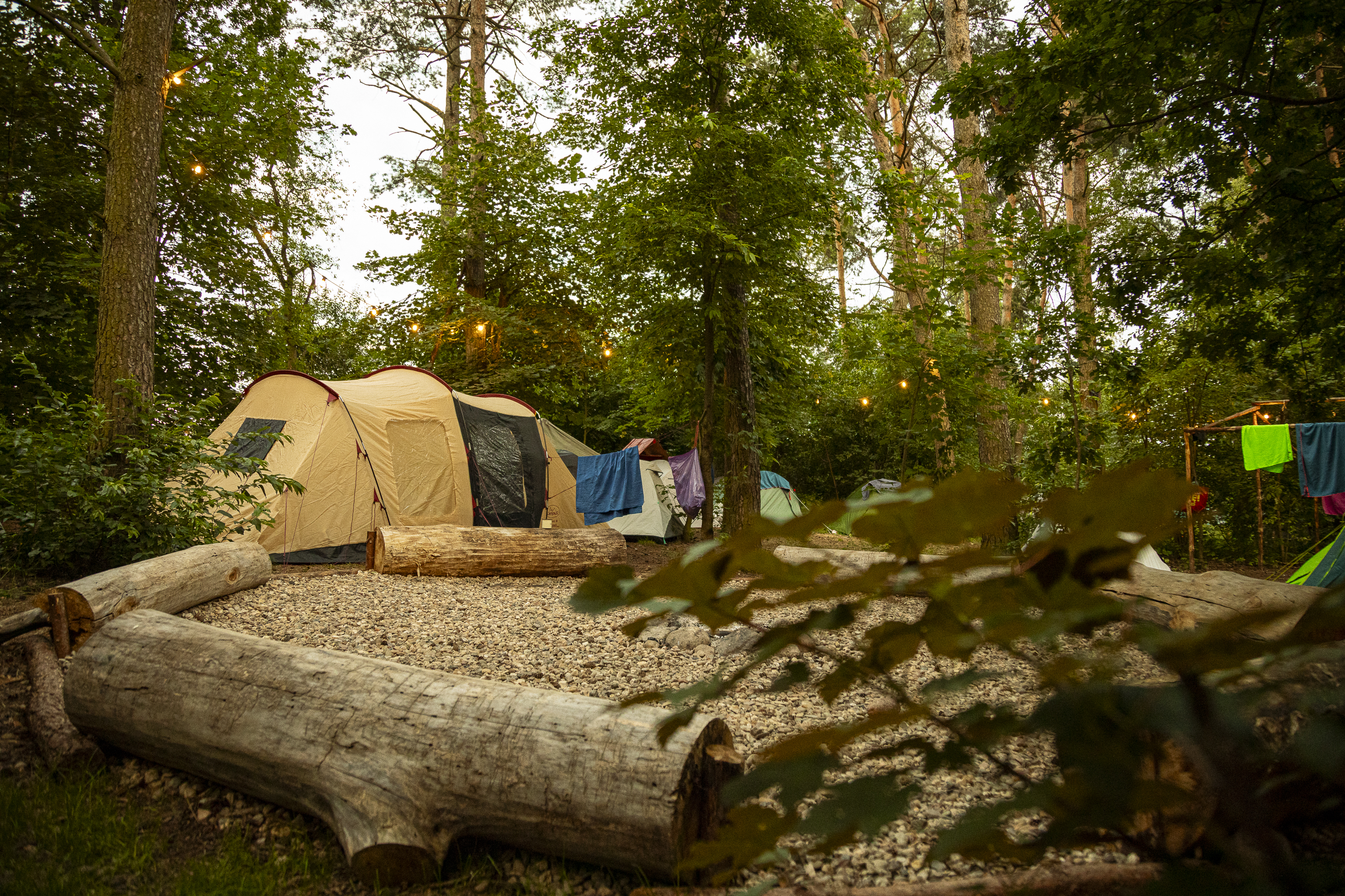 Namioty wśród drzew w Scout Camp o zmierzchu
